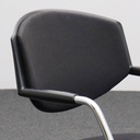 Freischwinger Giroflex 16