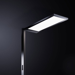 LED Stehleuchte Regent Lightpad Tunable Office Einzelkopf