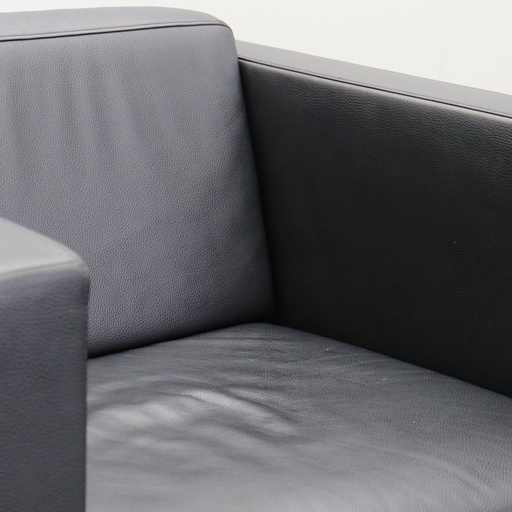 Lounge Sessel Walter Knoll Foster 500