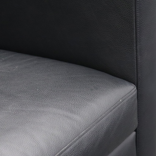 Lounge Sessel Walter Knoll Foster 500
