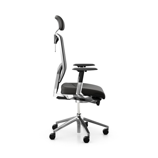 Chefsessel Giroflex 68-3519 CMF