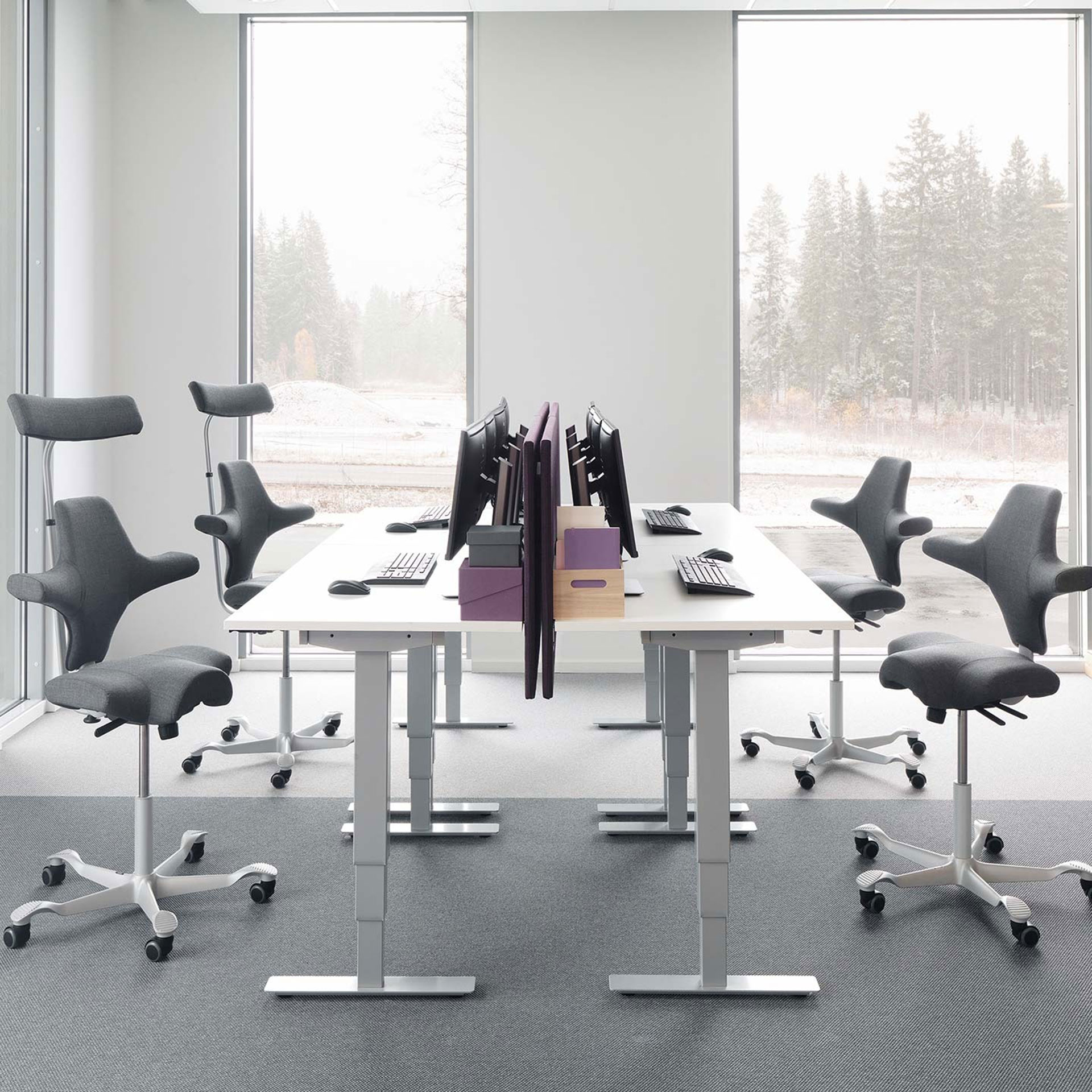 Sattelstuhl HAG Capisco 8106