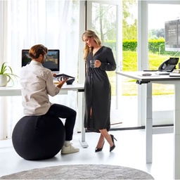 Büro Sitzball Aoke Ergo Ball