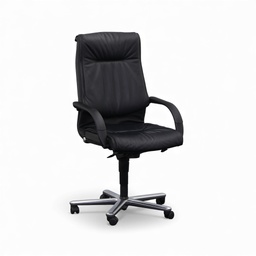 Leder Chefsessel Girsberger Trilax