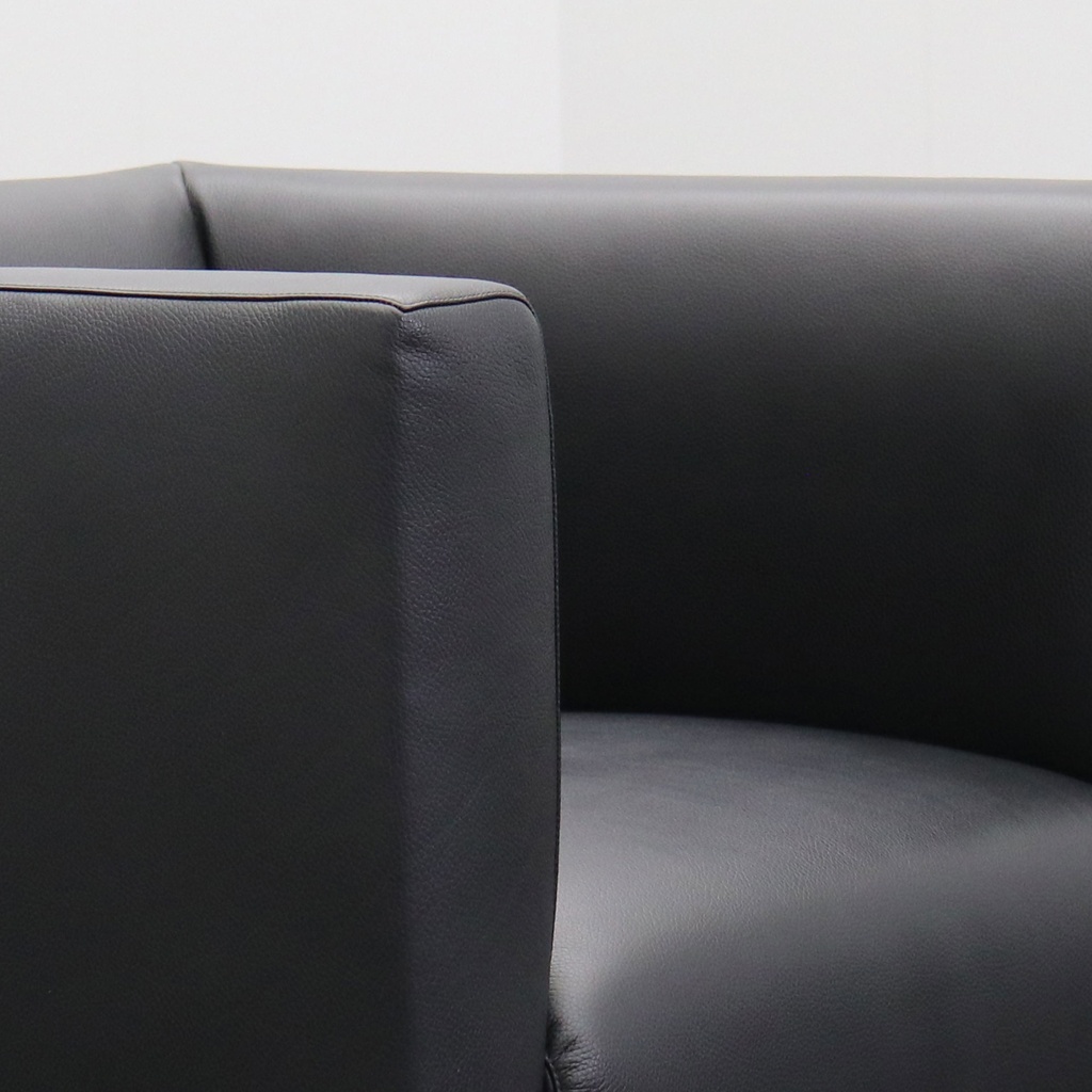 Lounge Sessel Walter Knoll Jaan 780