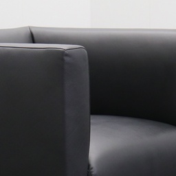 Lounge Sessel Walter Knoll Jaan 780