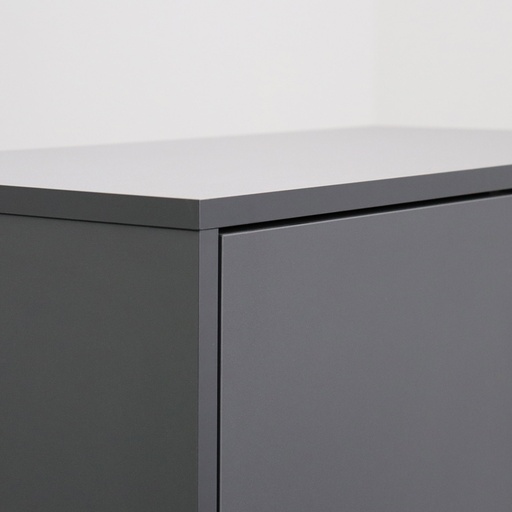 Flügeltürschrank Ergodata V-Max