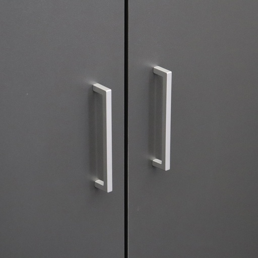 Flügeltürschrank Ergodata V-Max