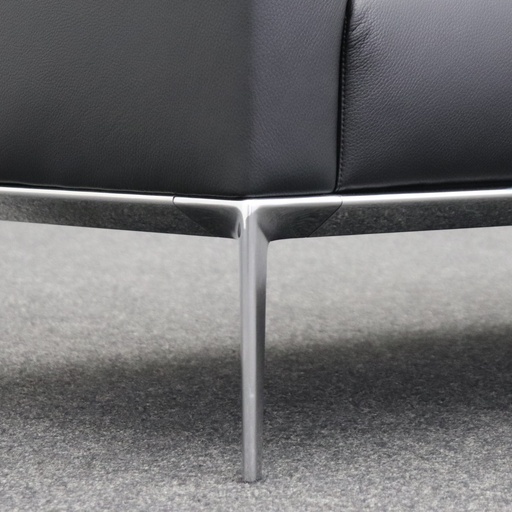 Lounge Sofa Walter Knoll Jaan 780-20