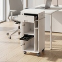 Mobiler Büroorganizer weiss refurbished mit Schlüssel