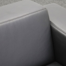 Ledersofa Rivolta