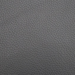 Ledersofa Rivolta