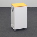 Caddy Steelcase Moby