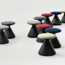 tz_fungus-1_3.jpg