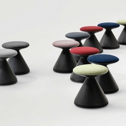 tz_fungus-1_3.jpg