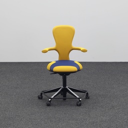 Bürodrehstühle Moving Chairs