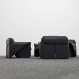 Lounge Garnituren de Sede ds-125
