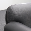 Lounge Garnituren de Sede ds-125
