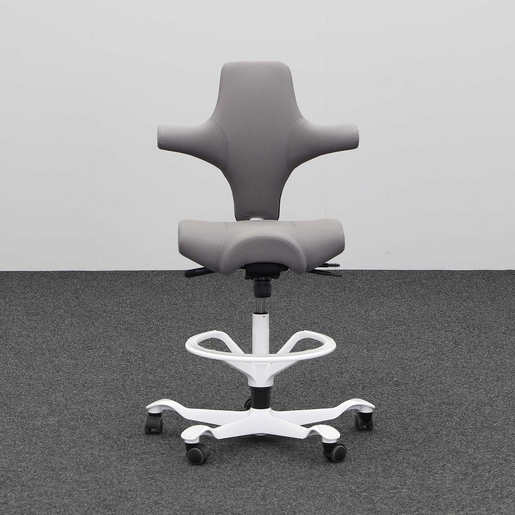 Bürodrehstühle HAG Capisco 8106