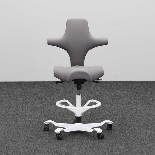 Bürodrehstühle HAG Capisco 8106
