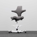 Bürodrehstühle HAG Capisco 8106