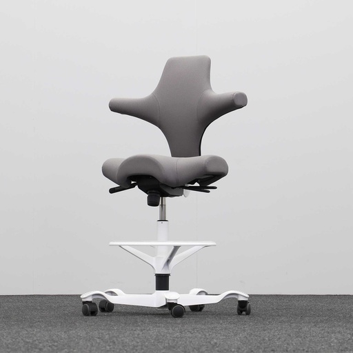 Bürodrehstühle HAG Capisco 8106