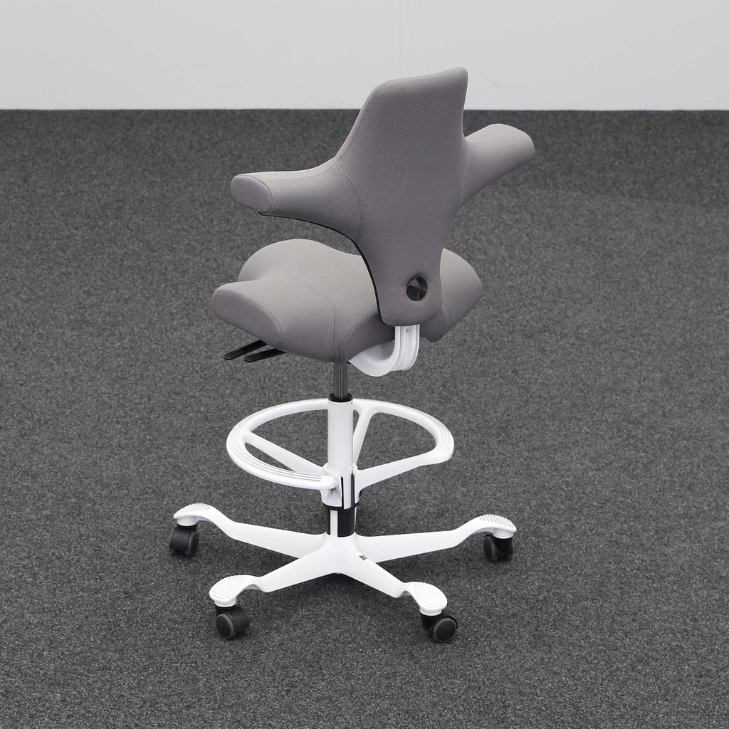 Bürodrehstühle HAG Capisco 8106