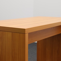 Empfangstheken False