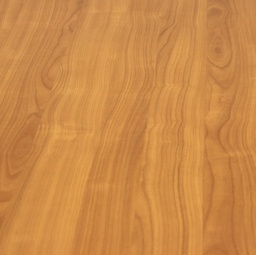 Empfangstheken False