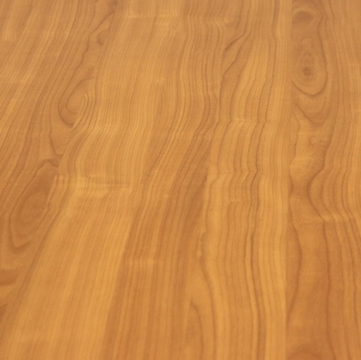 Empfangstheken False