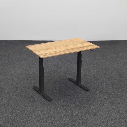 Stehpulte Rol Work 1