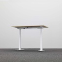 Stehpulte Rol Work 1