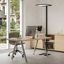 Stehlampe Tradingzone Adapt-F1 Desk Side