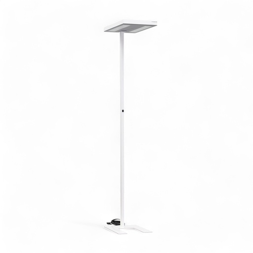 Stehlampe Tradingzone Free SPD