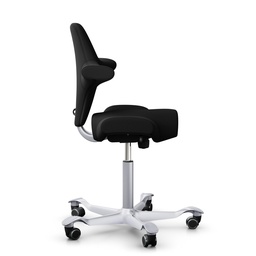 Bürodrehstühle HAG Capisco 8106