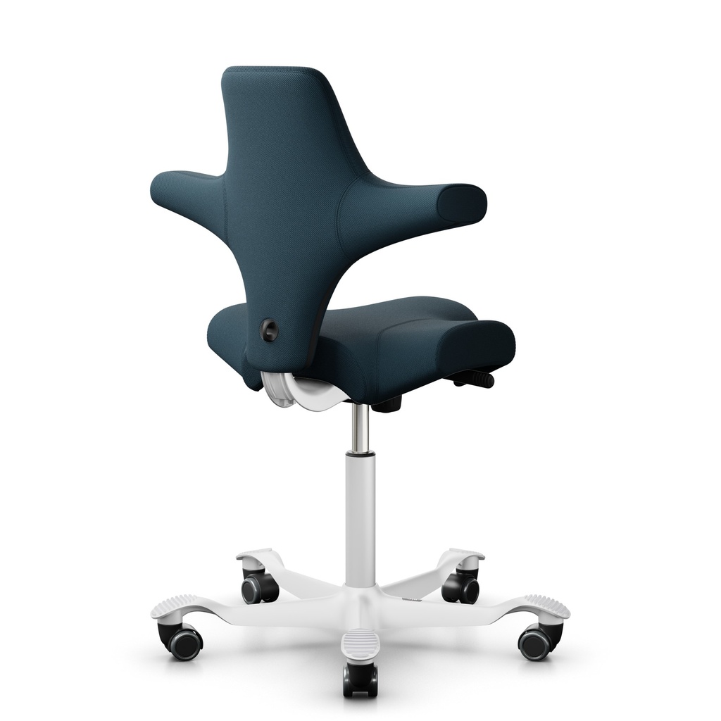 Bürodrehstühle HAG Capisco 8106+