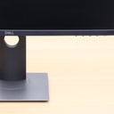 Monitor Dell