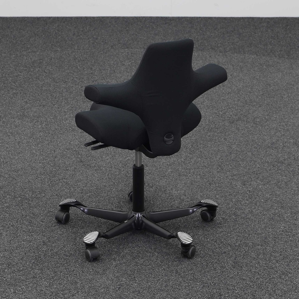 Bürodrehstühle HAG Capisco 8106