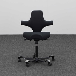 Bürodrehstühle HAG Capisco 8106