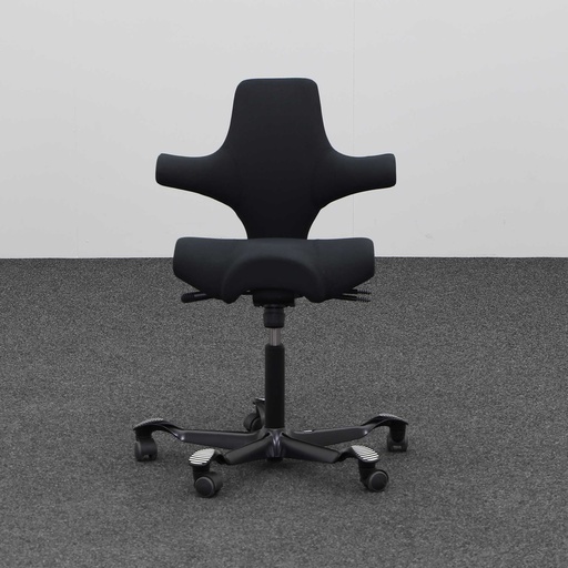 Bürodrehstühle HAG Capisco 8106