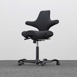 Bürodrehstühle HAG Capisco 8106