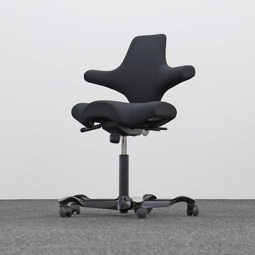 Bürodrehstühle HAG Capisco 8106