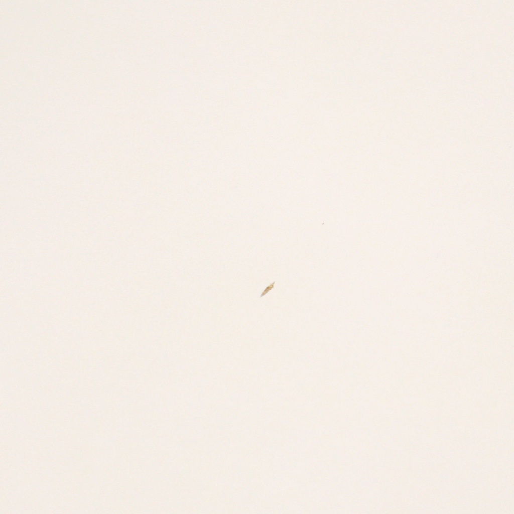 Besprechungstisch Rohde & Grahl