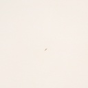 Besprechungstisch Rohde & Grahl