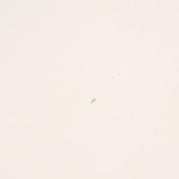 Besprechungstisch Rohde & Grahl