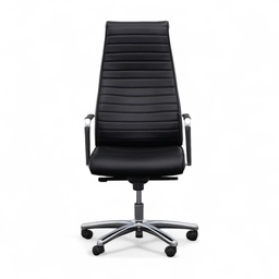 Eleganter Sessel Chairman X Leder Chefsessel