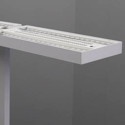 Doppelarbeitsplatz Stehleuchte Lightnet Cubic