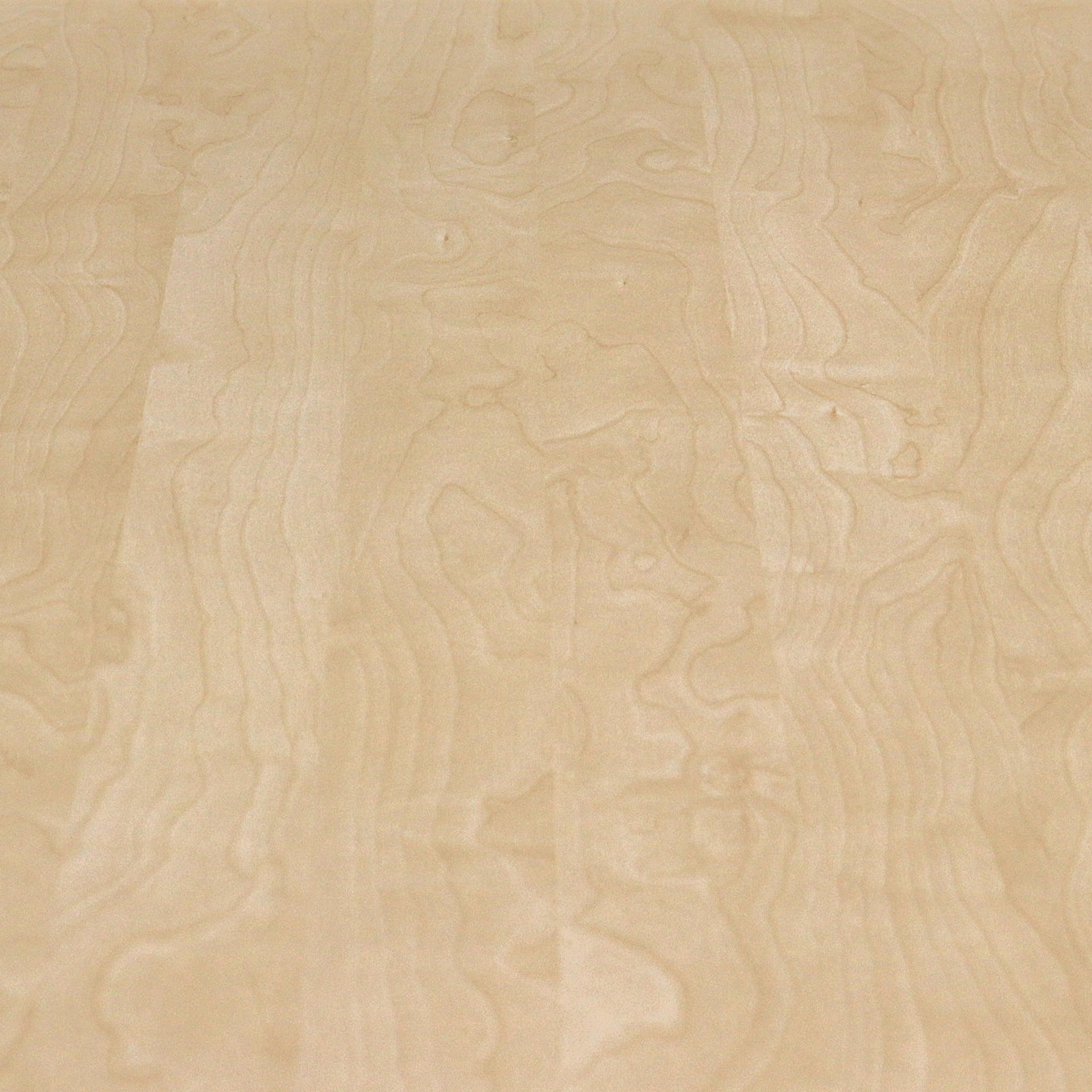 Schreibtisch 160x80 cm Ahorn