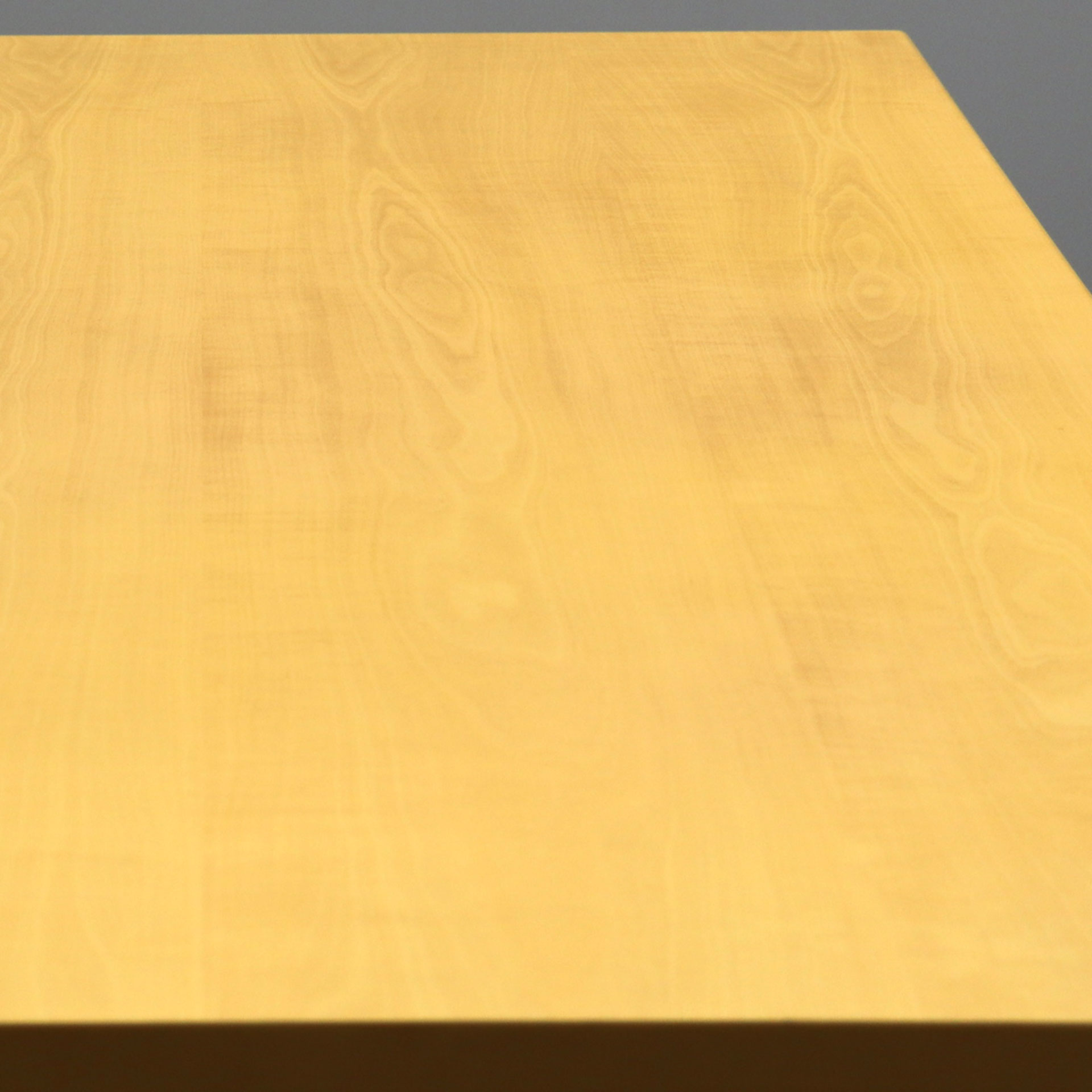 Stehpult Ergodata Multi Desk