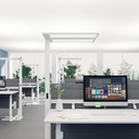 LED Stehleuchte Regent Lightpad Doppelkopf Tunable Office mit U-Form Fuss